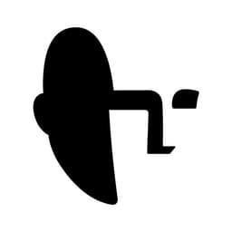White Noise Studios logo